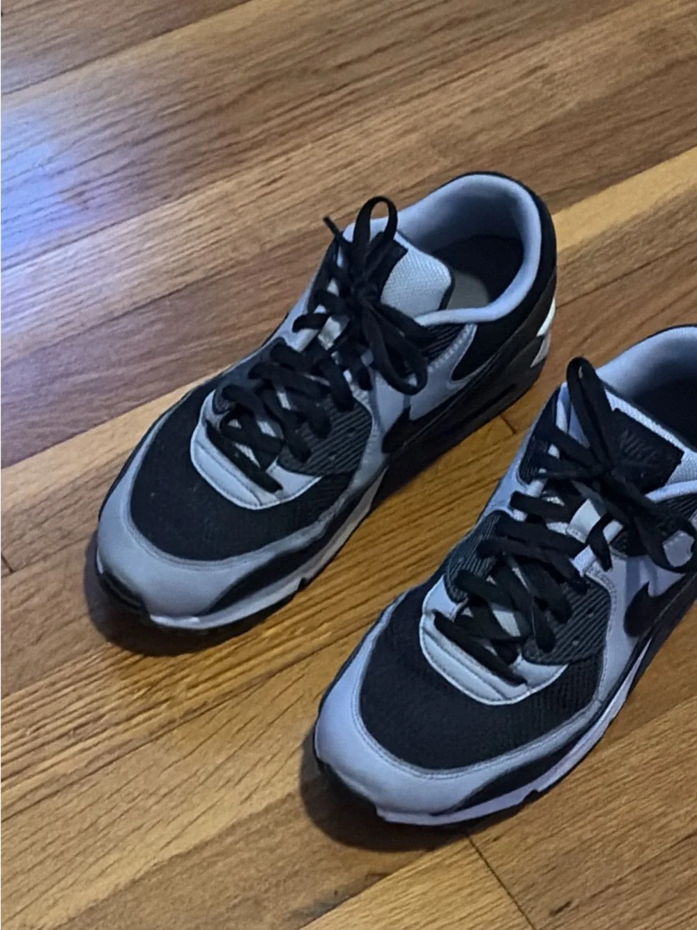 Nike Air Max 90 size 11